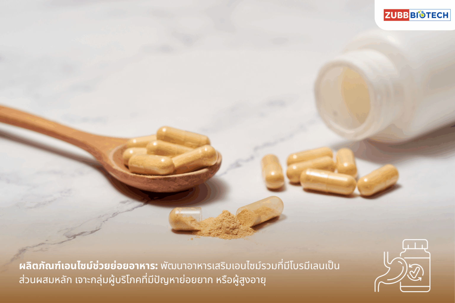 ผลิตภัณฑ์เอนไซม์ช่วยย่อยอาหาร: พัฒนาอาหารเสริมเอนไซม์รวมที่มีโบรมีเลนเป็นส่วนผสมหลัก เจาะกลุ่มผู้บริโภคที่มีปัญหาย่อยยาก หรือผู้สูงอายุ