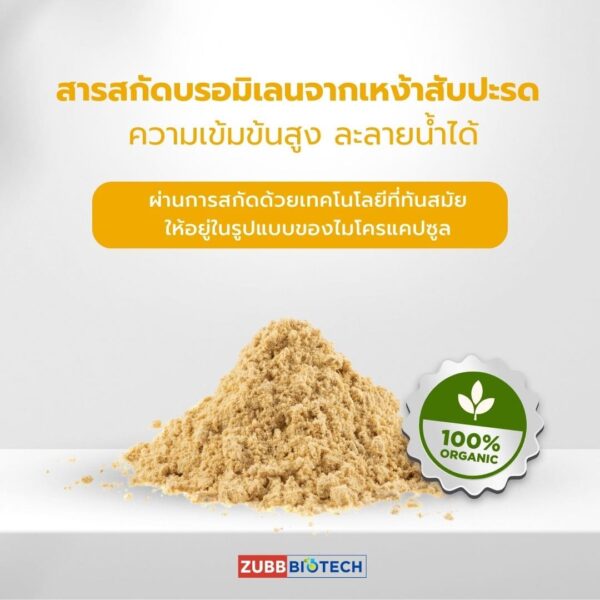LIPOBROME - 05