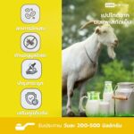 GOAT MILK FROST POWDER - 04