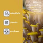 Golden Oyster Mushroom Powder - 03