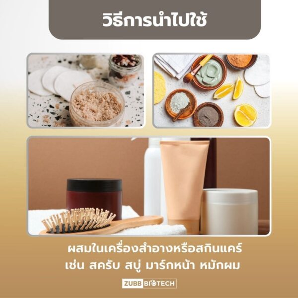 Pimai Mushroom Powder - 04