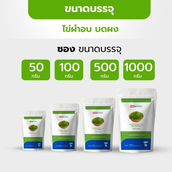 WOLFFIA TECH - KG DRY POWDER - 07