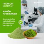 WOLFFIA TECH - KG DRY POWDER - 05
