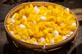 Golden Flourish Sericin /สารสกัดรังไหม