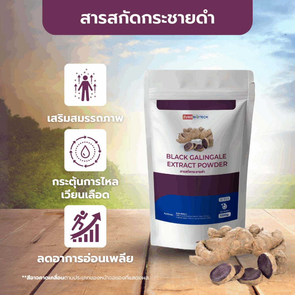 BLACK GALINGALE Extract Powder