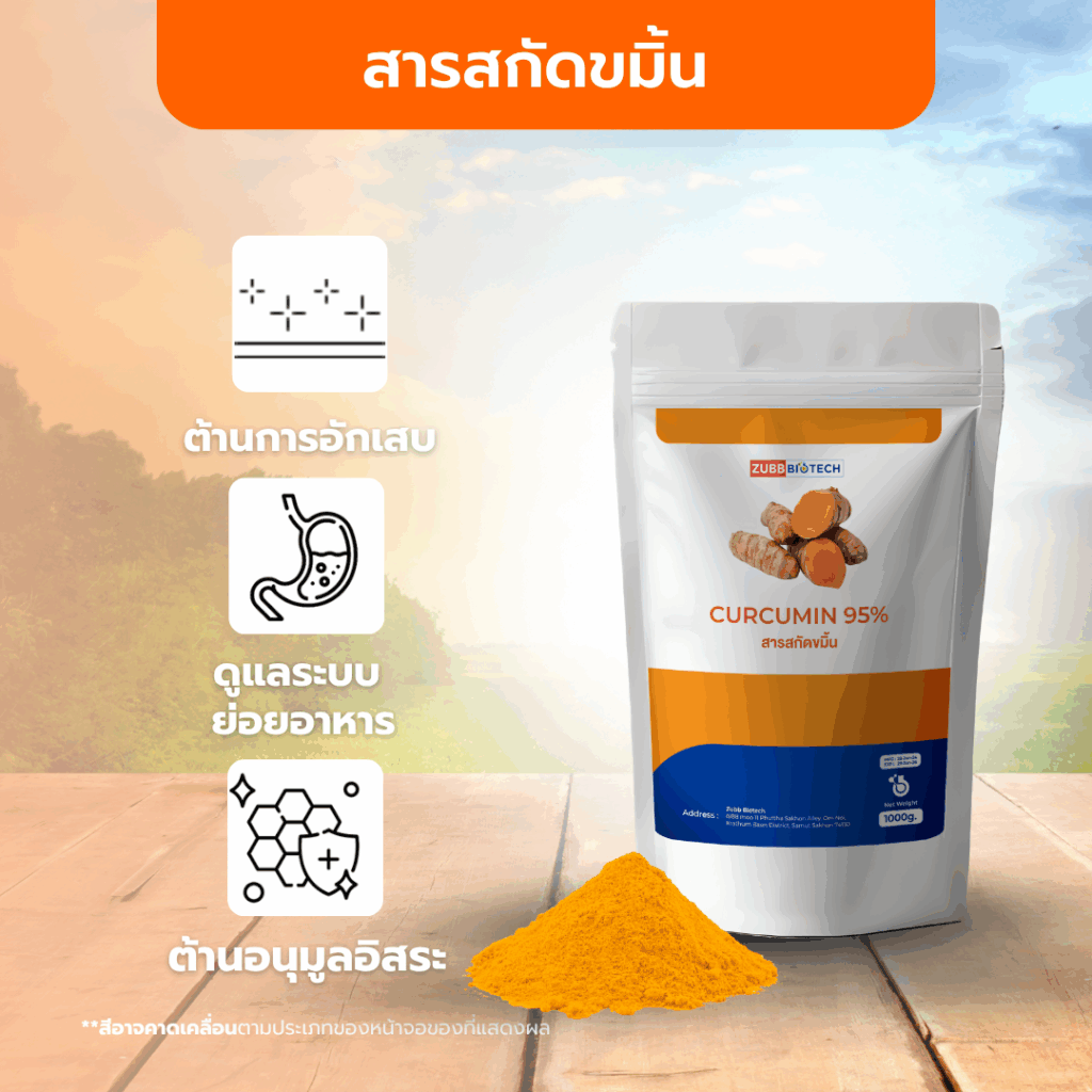 Curcumin 95% Extract Powder
