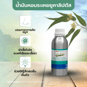 Eucalyptus Essential Oil 100%