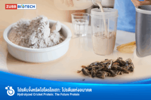 โปรตีนจิ้งหรีดไฮโดรไลเสท: โปรตีนแห่งอนาคตเพื่อสุขภาพและความงามที่ยั่งยืน