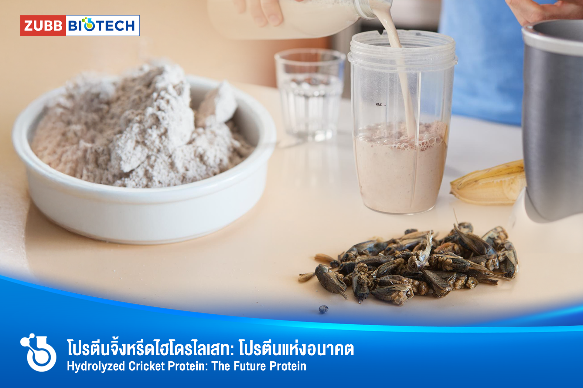 โปรตีนจิ้งหรีดไฮโดรไลเสท: โปรตีนแห่งอนาคตเพื่อสุขภาพและความงามที่ยั่งยืน