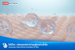 ไลโปโซมสำหรับผิว: นวัตกรรมการนำส่งสารบำรุงล้ำลึก