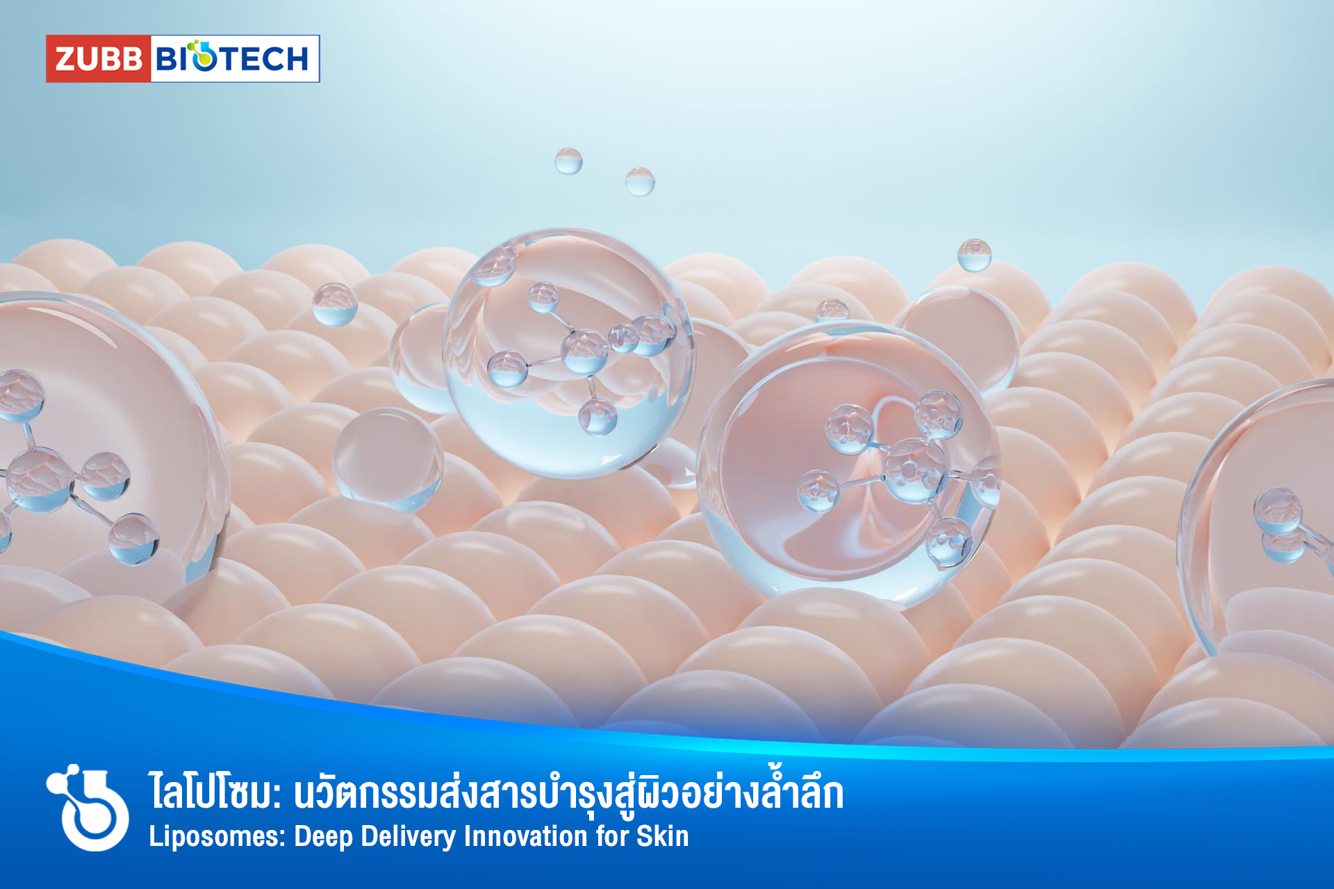 ไลโปโซมสำหรับผิว: นวัตกรรมการนำส่งสารบำรุงล้ำลึก