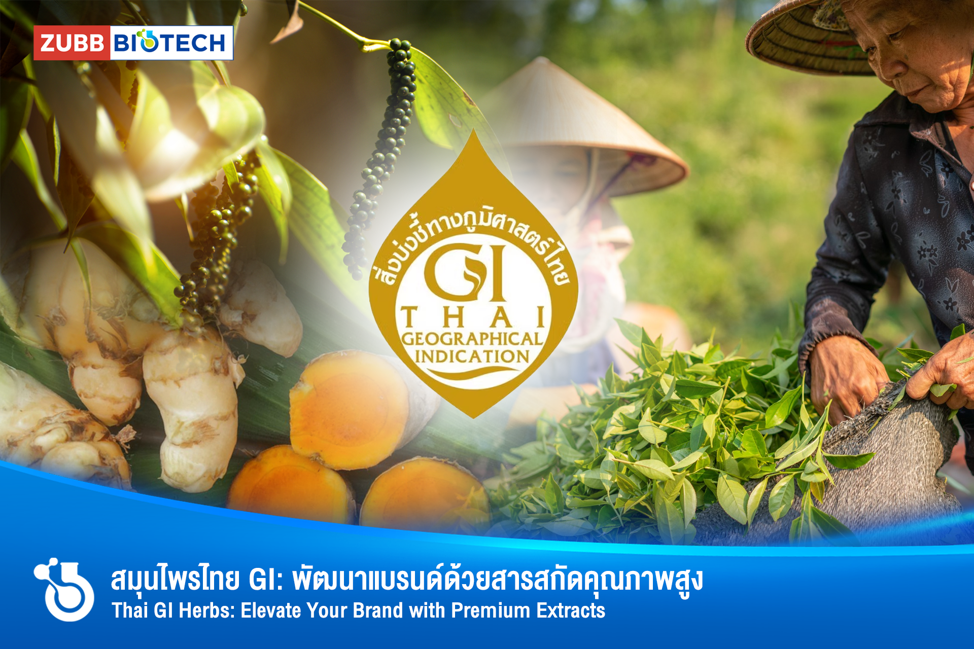 สารสกัดพืช GI: ขุมทรัพย์สมุนไพรไทย พัฒนาสูตรสุขภาพและความงาม