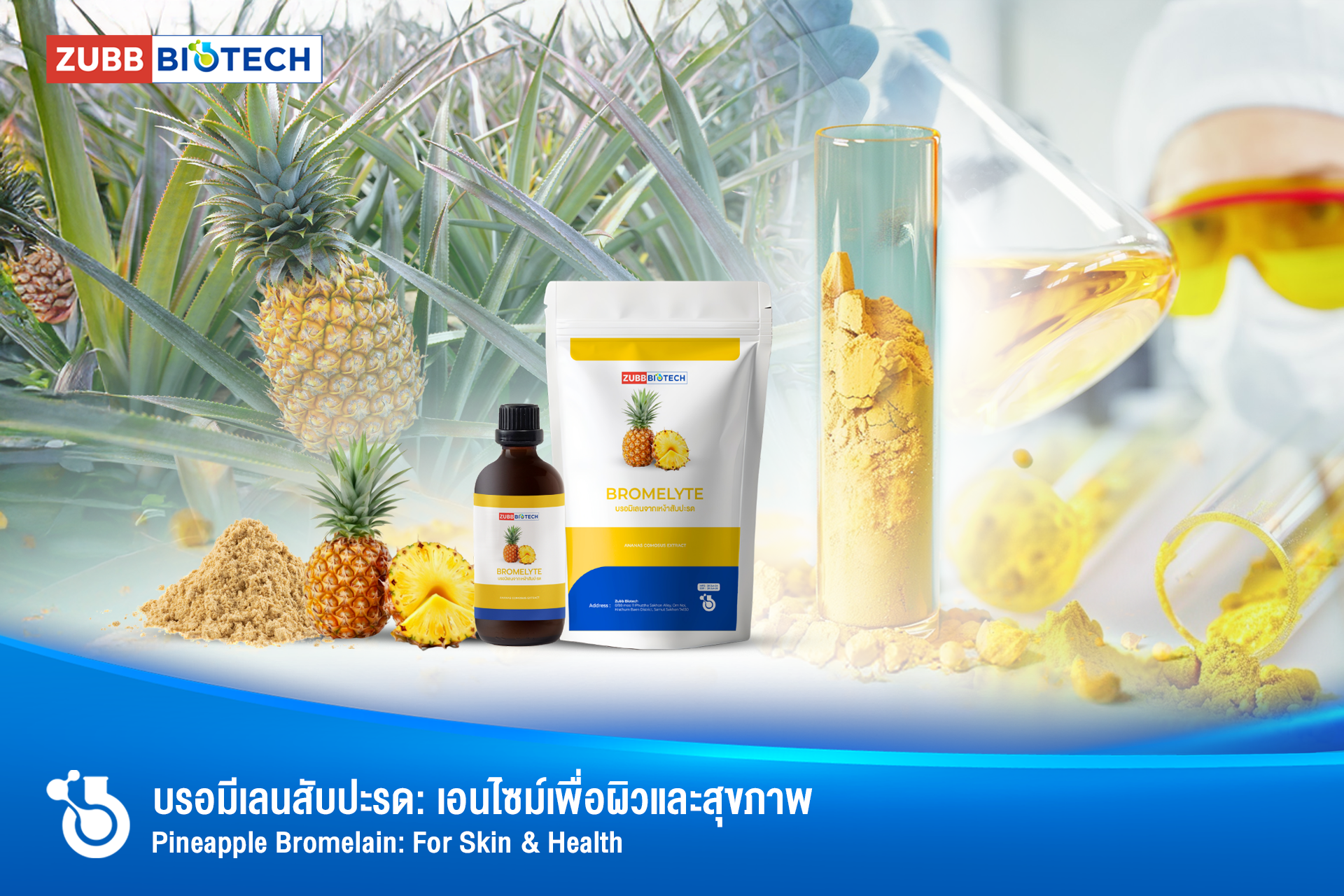 สารสกัดบรอมีเลน (Bromelain Extract) จากสับปะรด