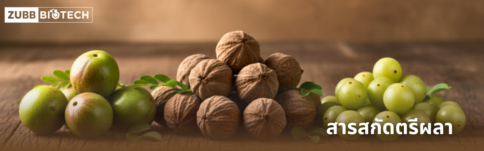 ภาพส่วนผสมของตำรับยาสมุนไพร "ตรีผลา" (Triphala) จัดเรียงบนโต๊ะไม้ ประกอบด้วย สมอไทย (ซ้าย), สมอพิเภกแห้ง (กลาง), และ มะขามป้อม (ขวา) พร้อมข้อความ "สารสกัดตรีผลา" และโลโก้ Zubb Biotech