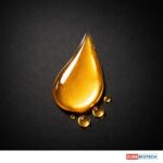 Xanthone-Silk Bronzing Glow Oil - Image 4