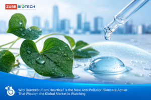 ทำไม Quercetin จากพลูคาวกลายเป็นสารตัวใหม่ของสกินแคร์ต้านมลพิษ (Anti-Pollution): ภูมิปัญญาไทยที่ตลาดสากลจับตา สารสกัด, โรงงานผลิตเครื่องสำอาง, รับผลิตเครื่องสำอาง, OEM เครื่องสำอาง, Quercetin, พลูคาว, Anti-Pollution, สารสกัดไทย, Hero Ingredient, ทรัพย์ ไบโอเทค