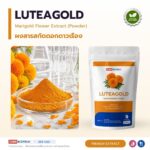 สารสกัดดาวเรือง LUTEAGOLD ผงสารสกัดลูทีนจากดอกดาวเรือง