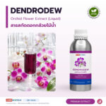 DENDRODEW สารสกัดดอกกล้วยไม้น้ำ