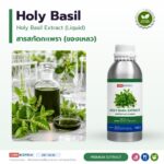 สารสกัดกะเพราชนิดน้ำ อุดมยูจีนอล (Holy Basil Extract)