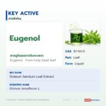 สารสกัดกะเพราชนิดน้ำ อุดมยูจีนอล (Holy Basil Extract)