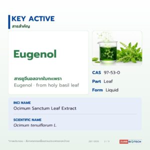 สารสกัดกะเพราชนิดน้ำ อุดมยูจีนอล (Holy Basil Extract)