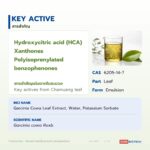 สารสกัดใบชะมวงชนิดของเหลว อุดมแซนโทน (Chamuang Leaf Extract)