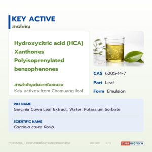 สารสกัดใบชะมวงชนิดของเหลว อุดมแซนโทน (Chamuang Leaf Extract)