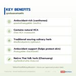 สารสกัดใบชะมวงชนิดของเหลว อุดมแซนโทน (Chamuang Leaf Extract)