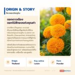 สารสกัดดาวเรือง LUTEAGOLD ผงสารสกัดลูทีนจากดอกดาวเรือง