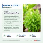 สารสกัดกะเพราชนิดน้ำ อุดมยูจีนอล (Holy Basil Extract)