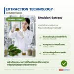 สารสกัดใบชะมวงชนิดของเหลว อุดมแซนโทน (Chamuang Leaf Extract)