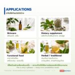 สารสกัดใบชะมวงชนิดของเหลว อุดมแซนโทน (Chamuang Leaf Extract)