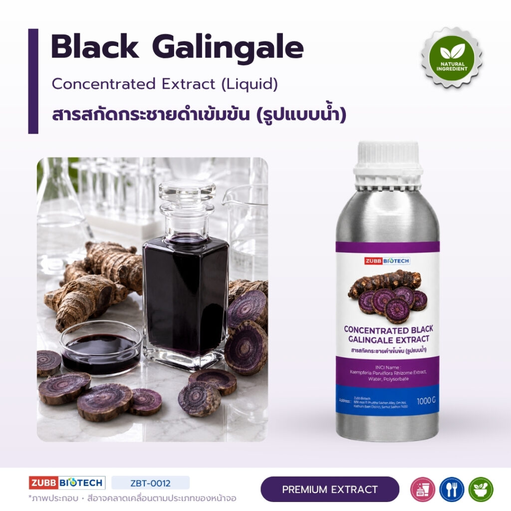 Concentrated Black Galingale Extract (Liquid)