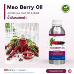 น้ำมันหมากเม่า อุดมแอนโทไซยานิน (Mao Berry Oil)