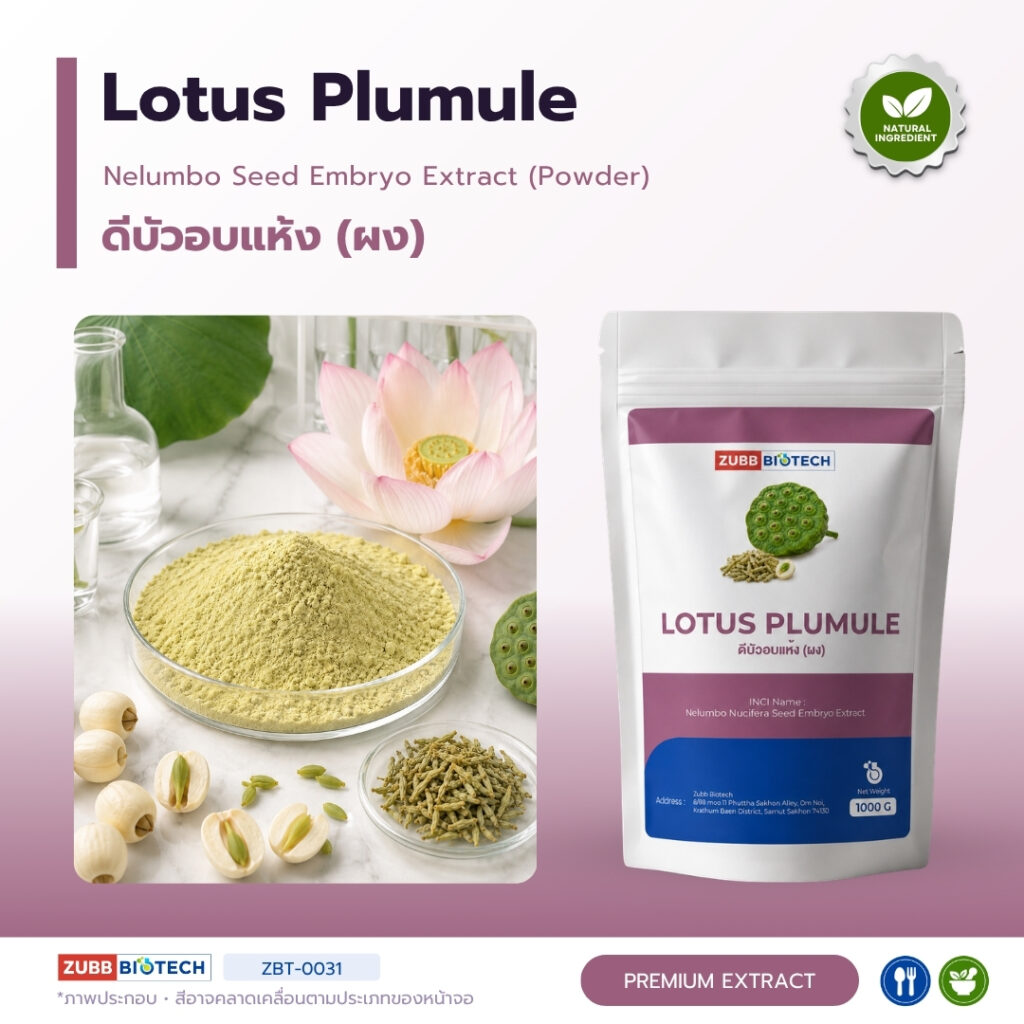LOTUS PLUMULE