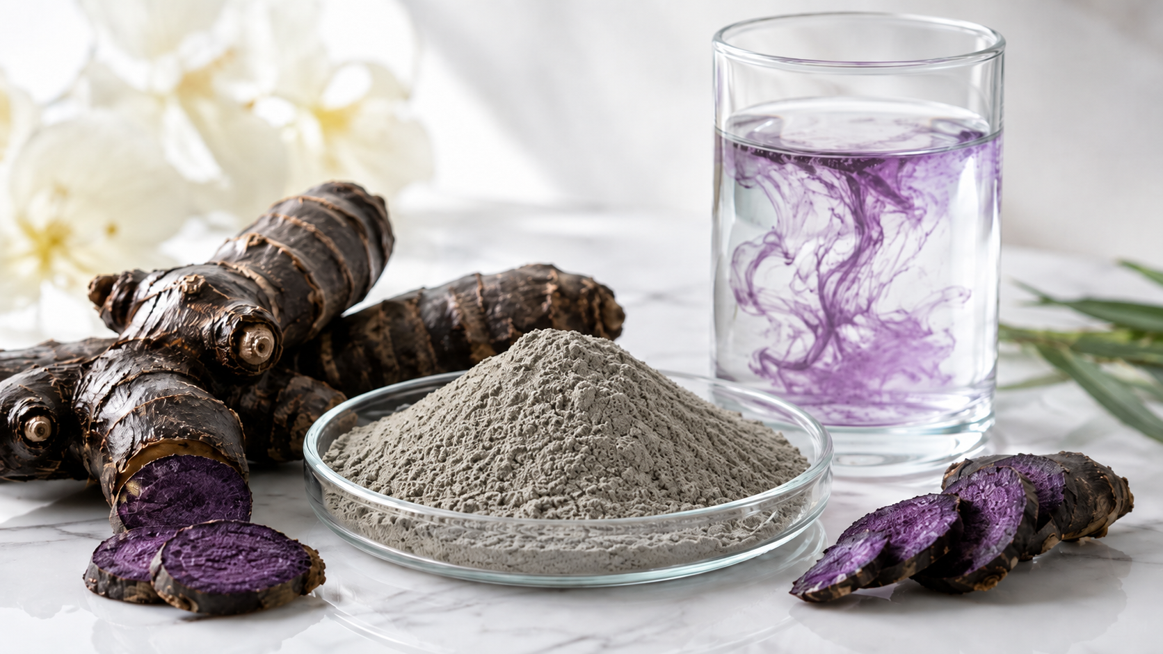 ผงสารสกัดกระชายดำละลายน้ำ อุดม PMF และแอนโทไซยานิน (Black Galingale Water-Soluble / Kaempferia parviflora)