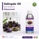 น้ำมันกระชายดำ อุดมโพลีเมทอกซีฟลาโวน (Black Galingale Oil)
