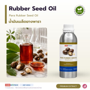 น้ำมันเมล็ดยางพารา อุดมโอเมก้า 3 & 6 (Para Rubber Seed Oil)