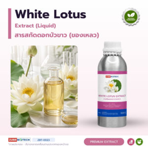 สารสกัดดอกบัวขาวชนิดน้ำ อุดมโพลีฟีนอล (White Lotus Extract)