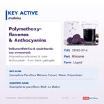 Concentrated Black Galingale Extract (Liquid) - Image 2