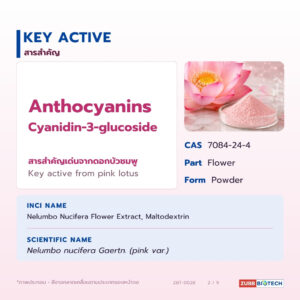 PINK LOTUS EXTRACT (POWDER)