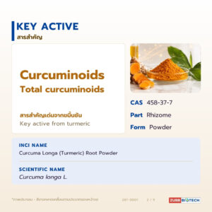 ผงขมิ้นชันแท้ อุดมเคอร์คูมินอยด์ (Turmeric Root Powder / Curcuma longa)