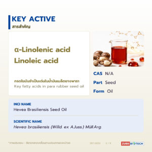 น้ำมันเมล็ดยางพารา อุดมโอเมก้า 3 & 6 (Para Rubber Seed Oil)