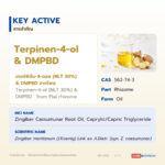 น้ำมันหอมระเหยไพล อุดมเทอร์พิเนน-4-ออล (Plai Oil)