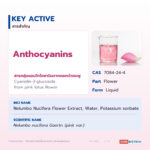 สารสกัดบัวชมพู Pink Lotus Extract
