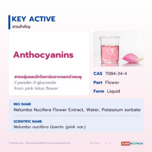 สารสกัดบัวชมพู Pink Lotus Extract