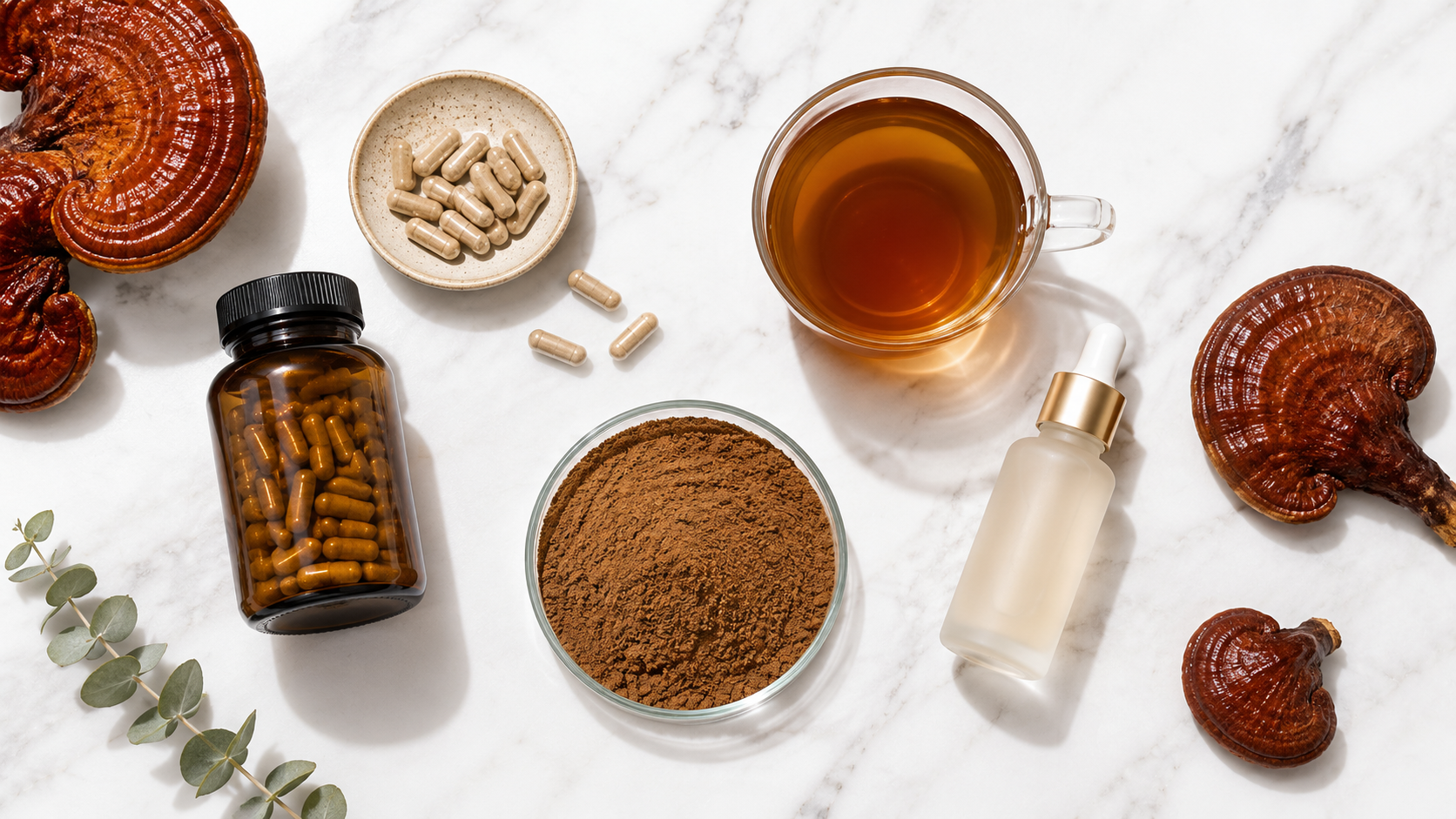 ผงสารสกัดเห็ดหลินจือ อุดมกาโนเดอริกแอซิดและเบต้ากลูแคน (Reishi Extract) ผงสารสกัดเห็ดหลินจือ อุดมกาโนเดอริกแอซิดและเบต้ากลูแคน (Reishi Extract)