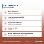น้ำมันเห็ดหลินจือ อุดมเบต้ากลูแคนและพอลิแซ็กคาไรด์ (Reishi Oil / Ganoderma lucidum, β-Glucan NLT 20%)