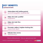 น้ำมันบัวชมพู อุดมแอนโทไซยานิน (Pink Lotus Oil / Nelumbo Flower Oil, Anthocyanins NLT 3%)