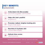 น้ำมันบัวขาว อุดมฟลาโวนอยด์ไกลโคไซด์ (White Lotus Oil / Nelumbo Flower Oil Extract)